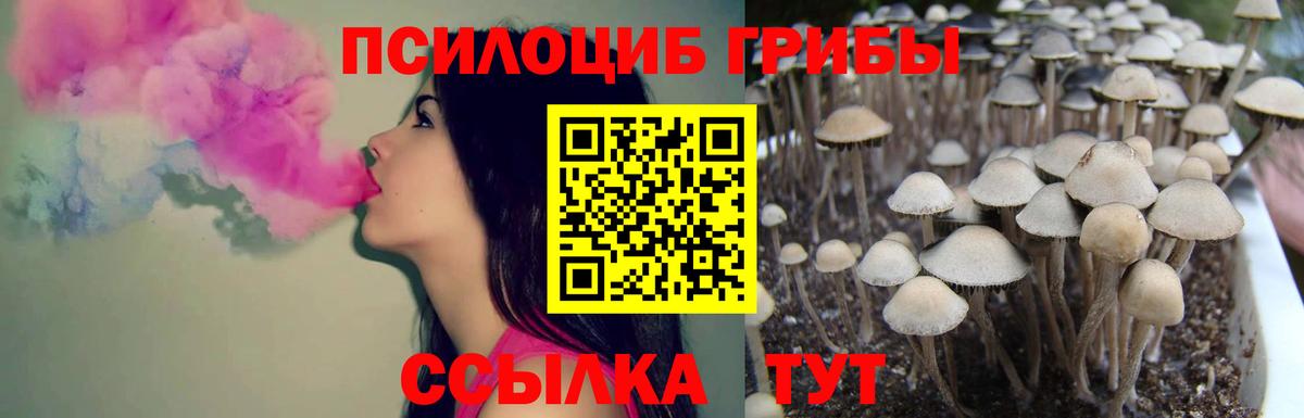 Южно-Сахалинск  закладки  Вход с VPN  Псилоцибиновые грибы ЛСД 